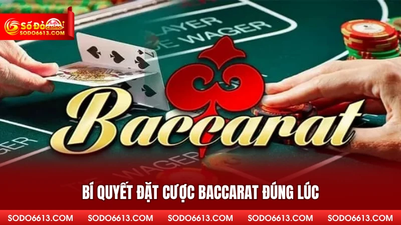 Bí quyết đặt cược Baccarat đúng lúc