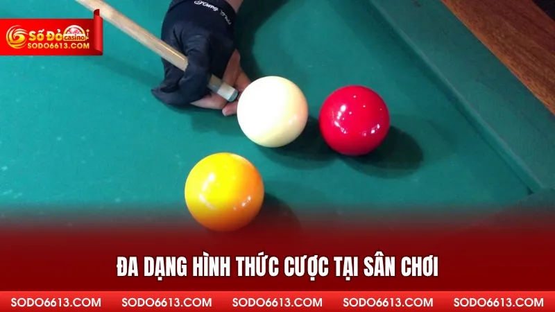 Đa dạng hình thức cược tại sân chơi