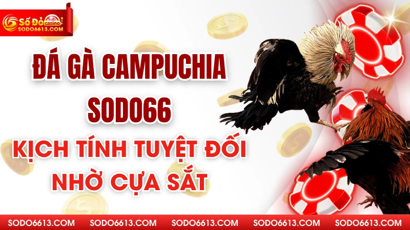 Đá Gà Campuchia Sodo66 - Sự Kịch Tính Tuyệt Đối Nhờ Cựa Sắt