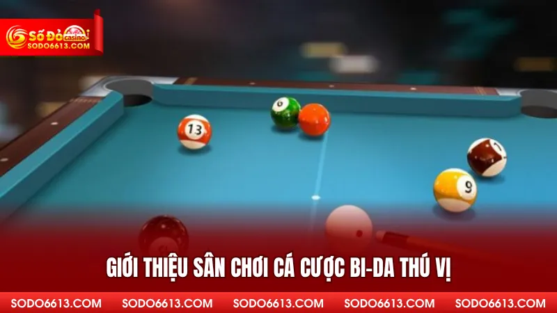 Giới thiệu sân chơi cá cược bi-da thú vị