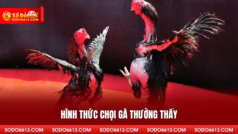 Hình thức chọi gà thường thấy