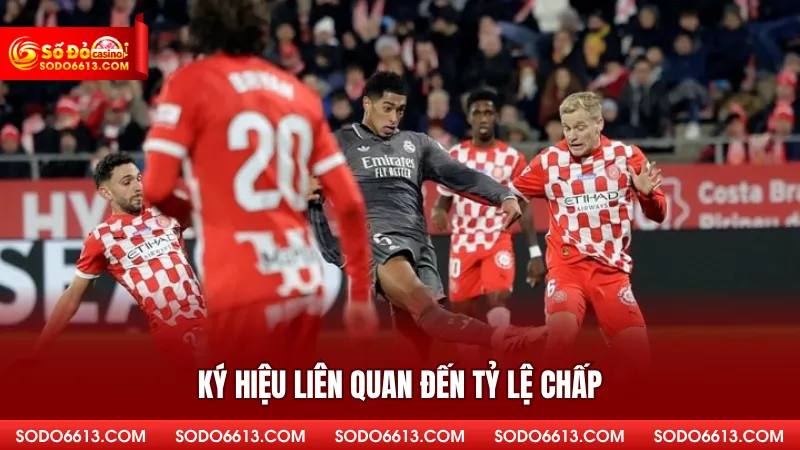 Ký hiệu liên quan đến tỷ lệ chấp