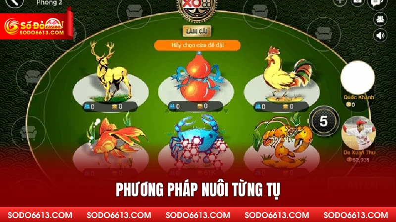Phương pháp nuôi từng tụ
